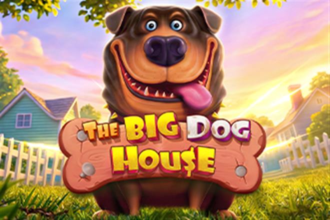 The Big Dog House