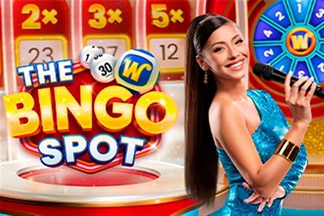 The Bingo Spot